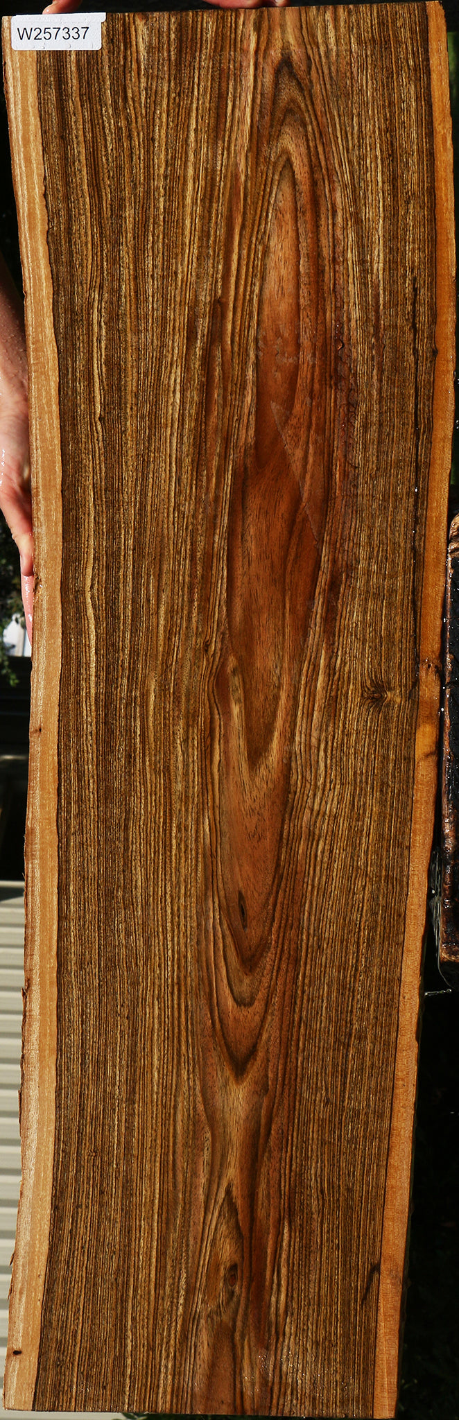 Bocote Live Edge Lumber