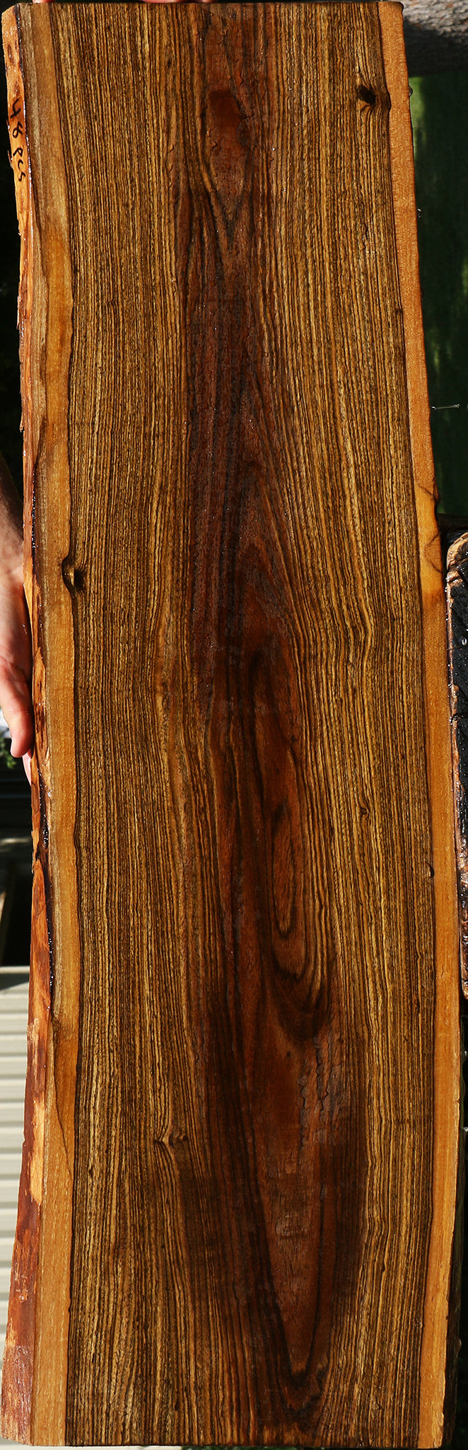 Bocote Live Edge Lumber