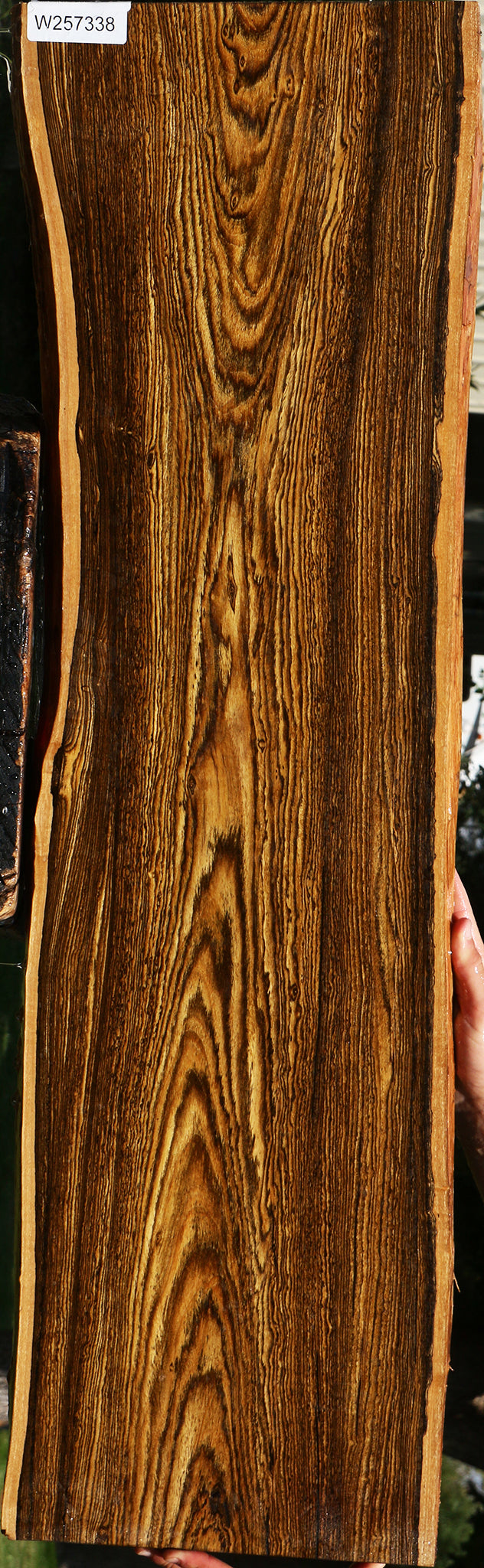Bocote Live Edge Lumber