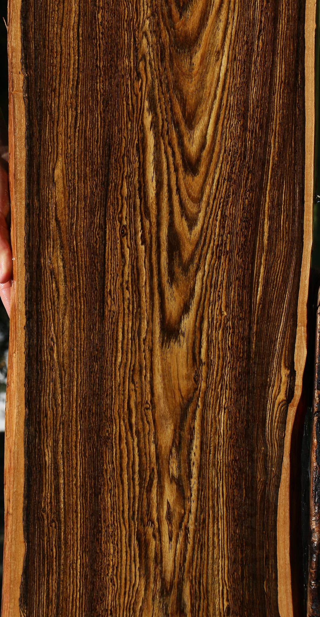 Bocote Live Edge Lumber