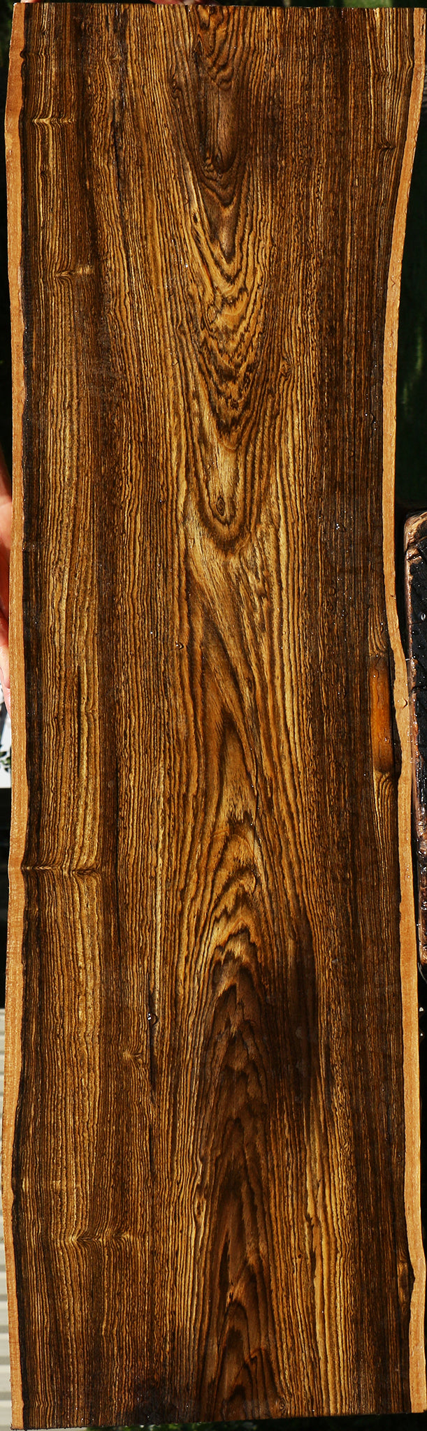 Bocote Live Edge Lumber