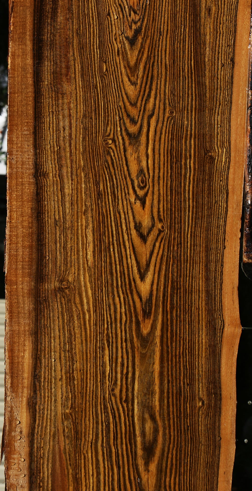 Figured Bocote Live Edge Lumber