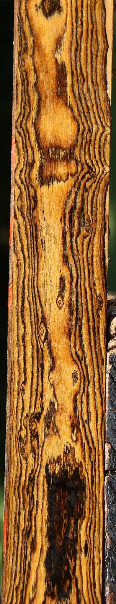 Figured Bocote Lumber
