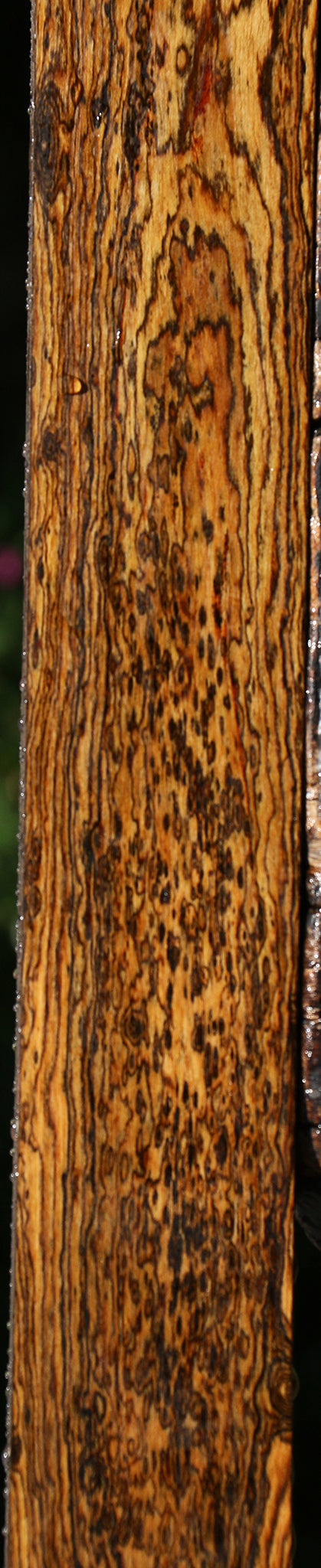 Extra Fancy Bocote Lumber