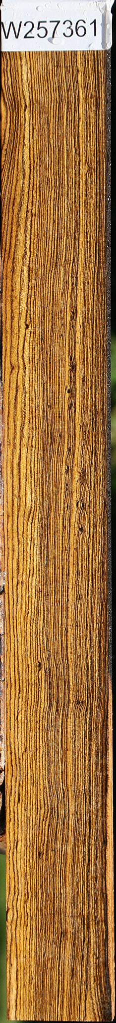 Quartersawn Bocote Lumber