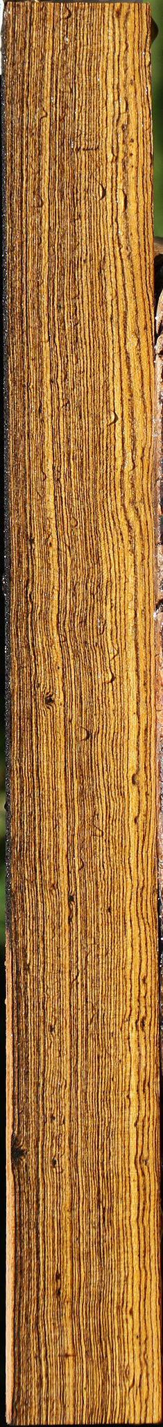 Quartersawn Bocote Lumber