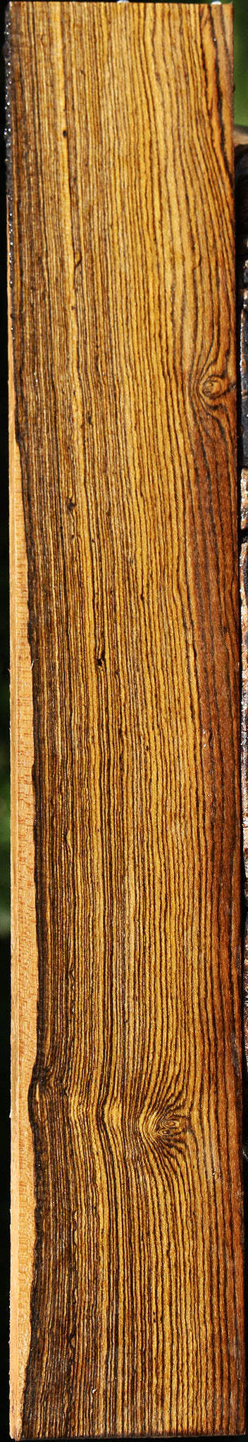 Quartersawn Bocote Lumber