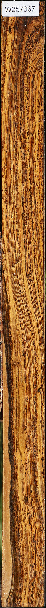 Extra Fancy Bocote Lumber