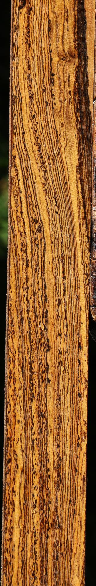 Extra Fancy Bocote Lumber