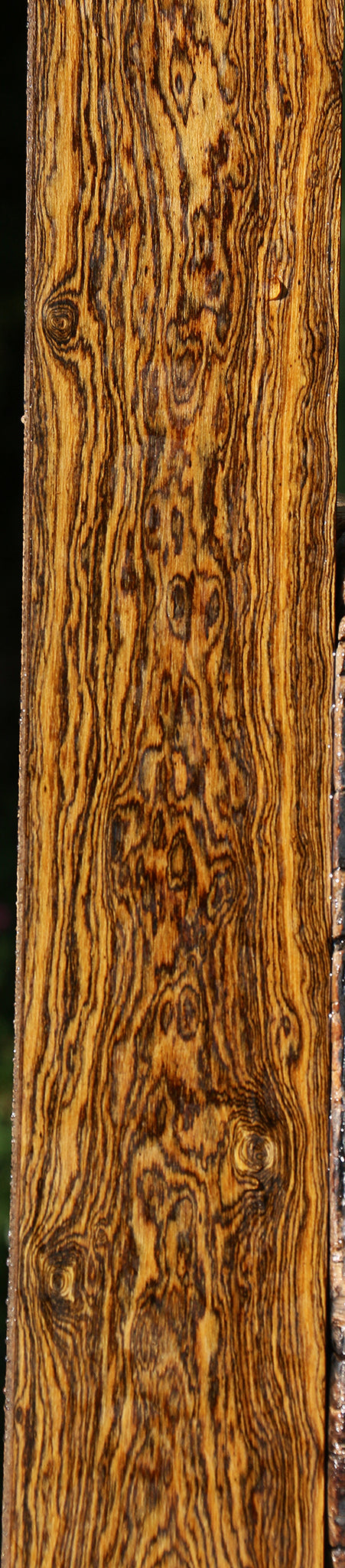 Figured Bocote Lumber