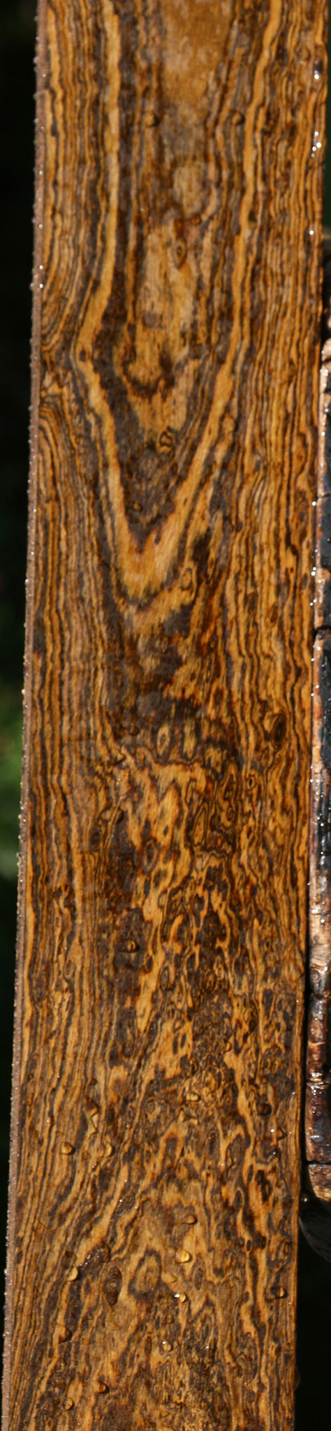 Extra Fancy Bocote Lumber
