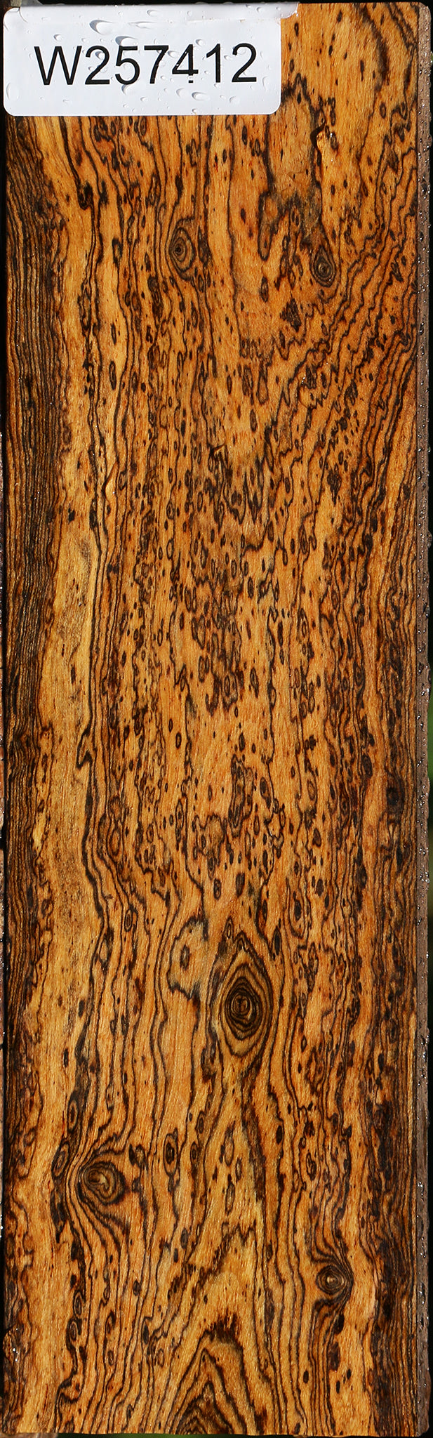 Exhibition Bocote Lumber