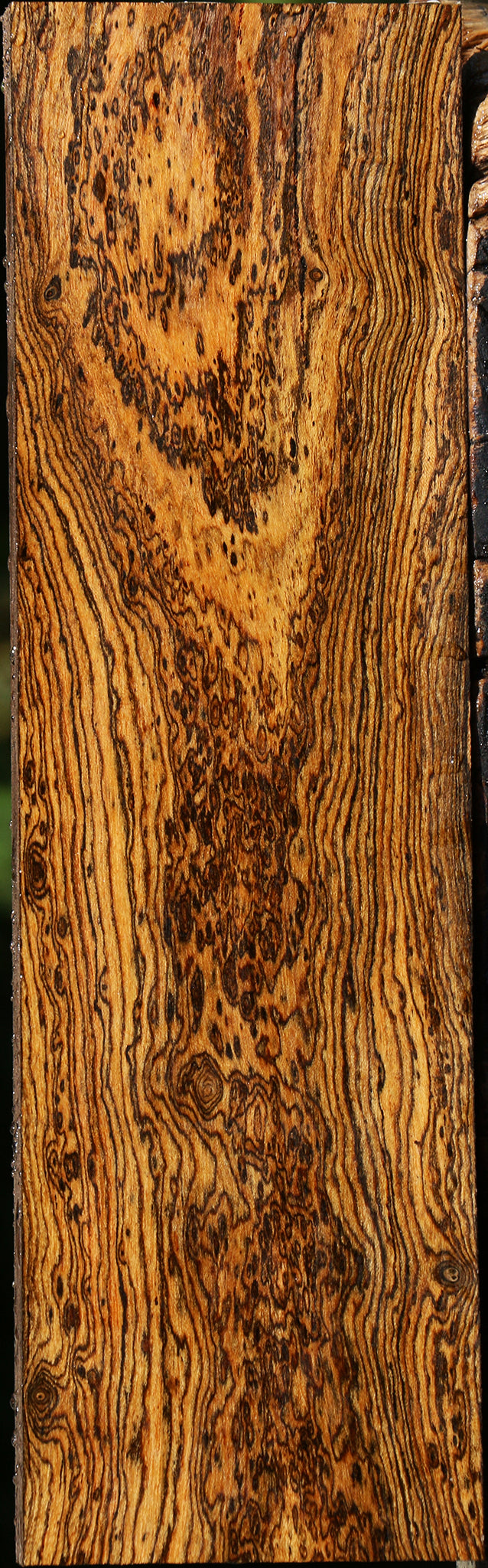 Exhibition Bocote Lumber