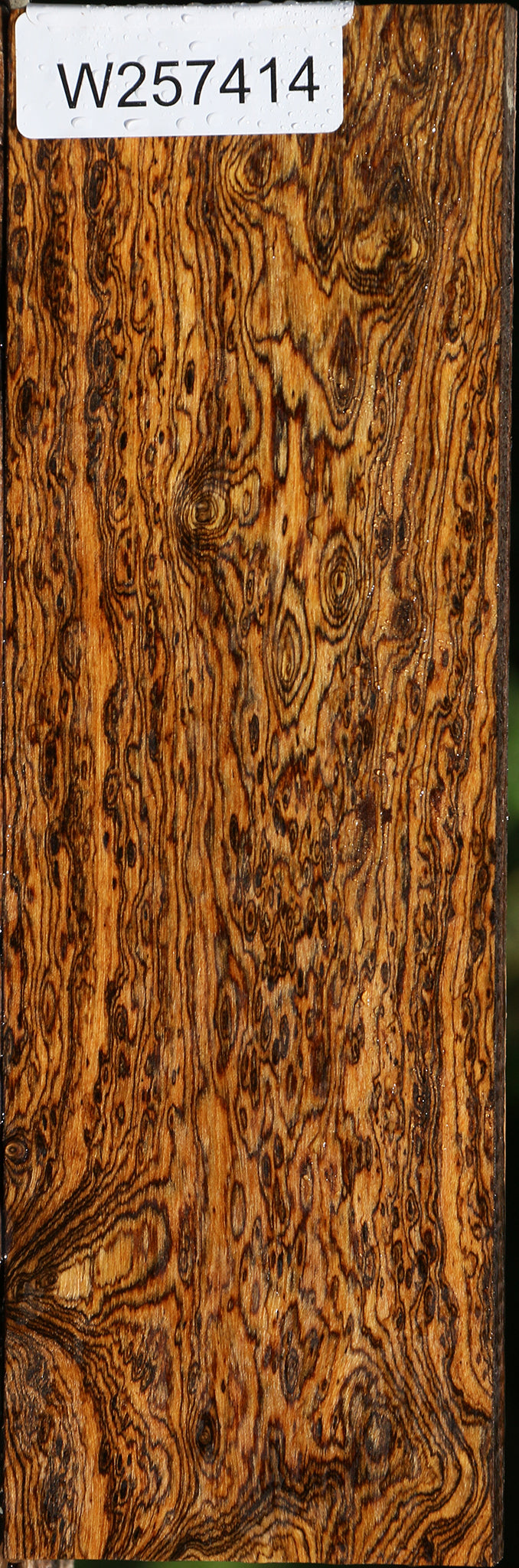 Exhibition Bocote Lumber