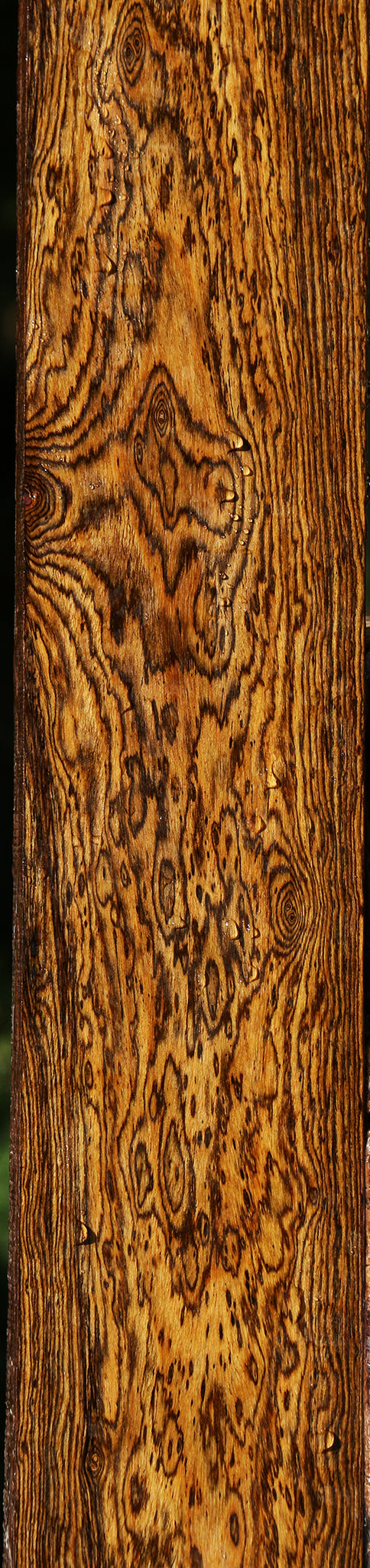 Extra Fancy Bocote Lumber