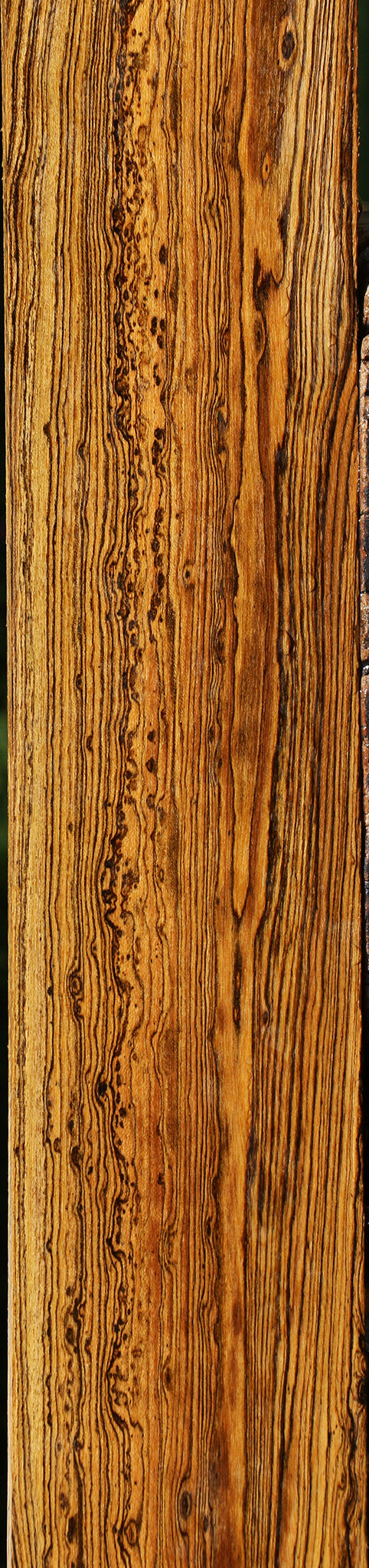Figured Bocote Lumber