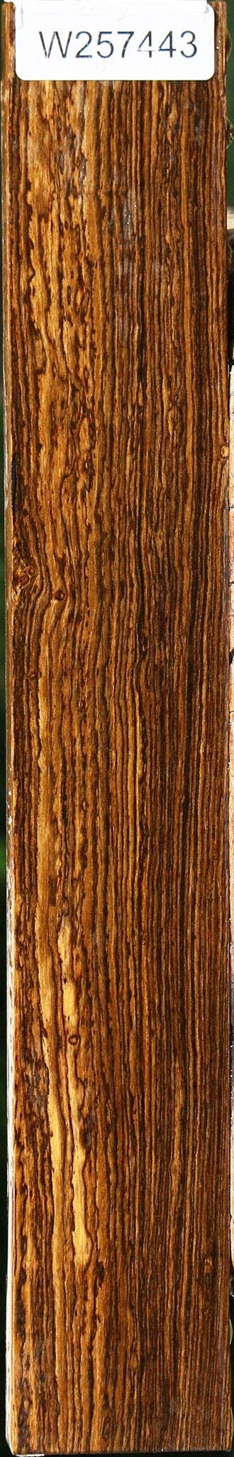 Bocote Lumber