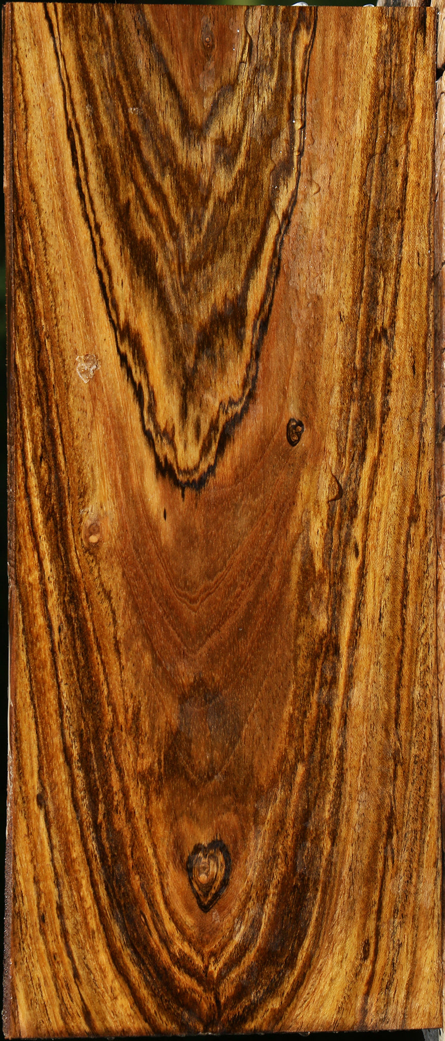 Bocote Lumber