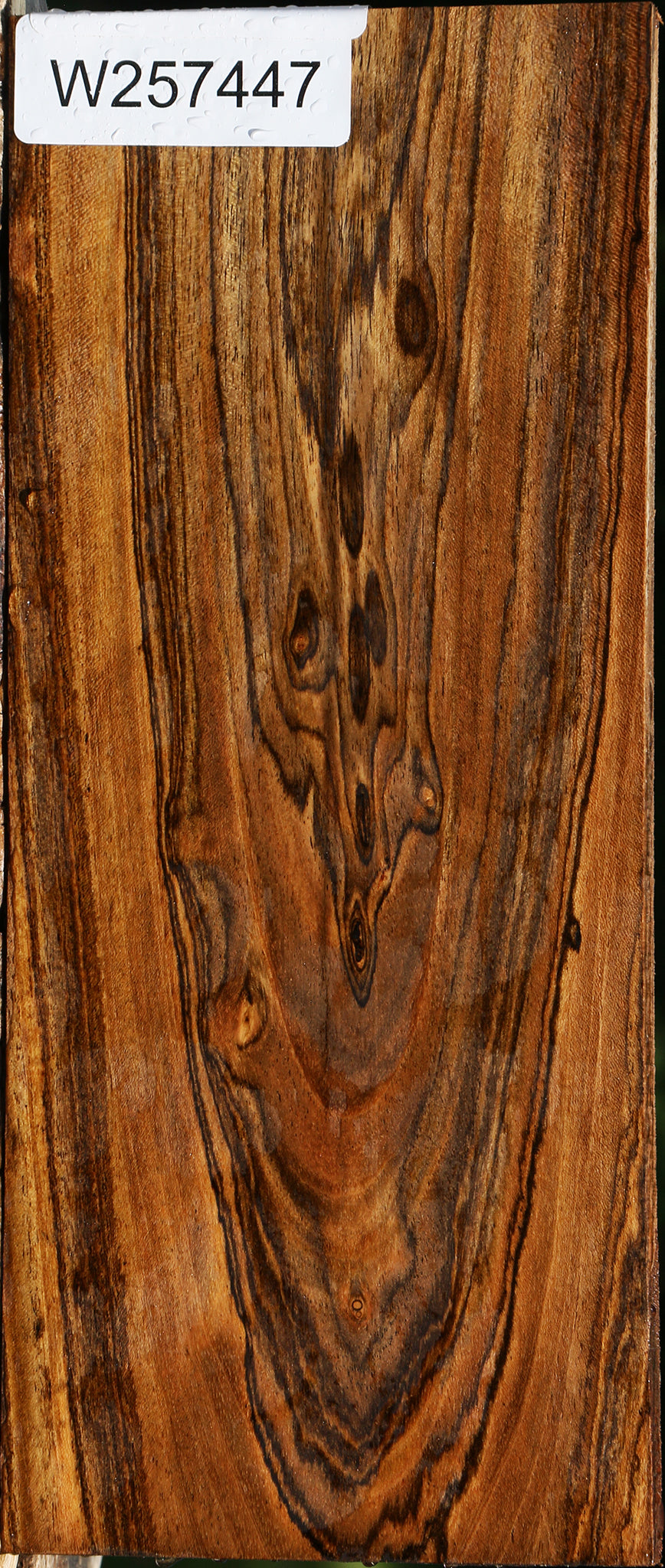 Bocote Lumber