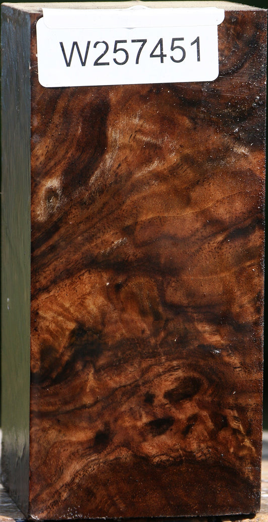 Exhibition Grafted English/Claro Walnut Turning Square