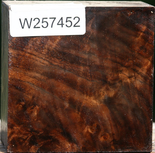 Extra Fancy Claro Walnut Bowl Blank