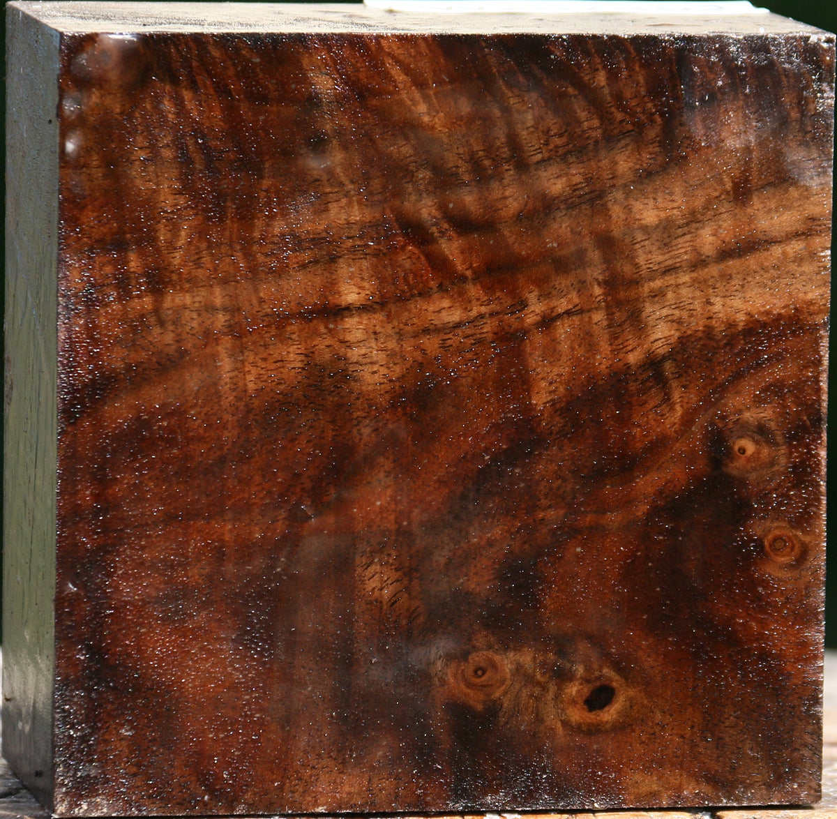 Extra Fancy Claro Walnut Bowl Blank