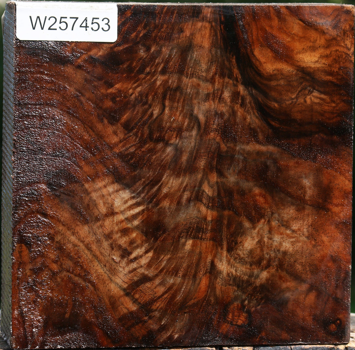 Exhibition Grafted English/Claro Walnut Bowl Blank