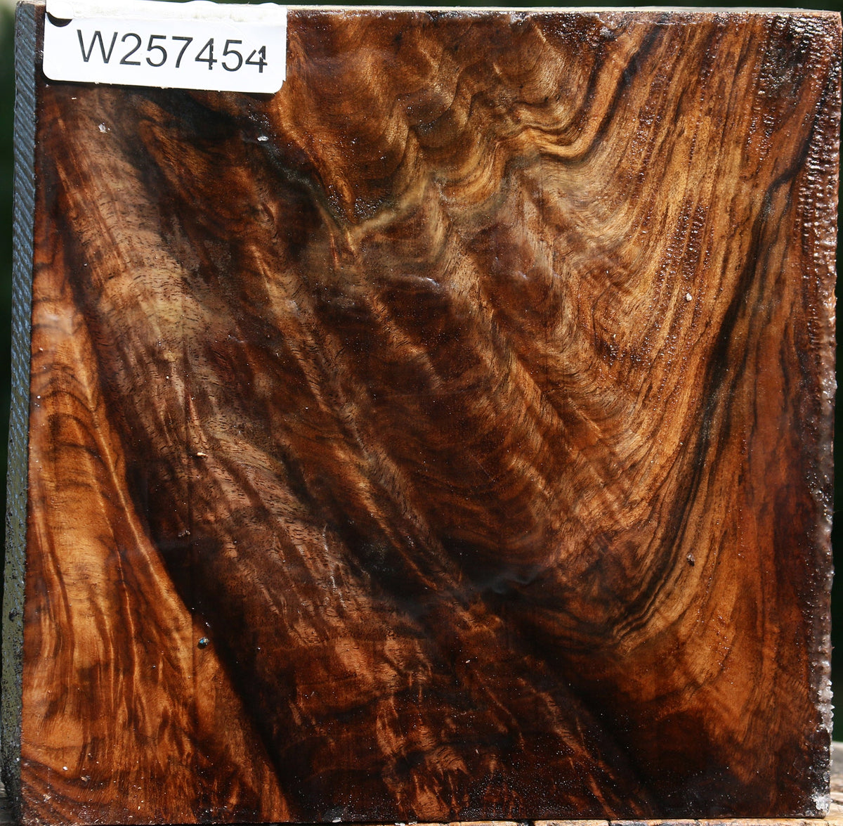 Exhibition English Walnut Bowl Blank