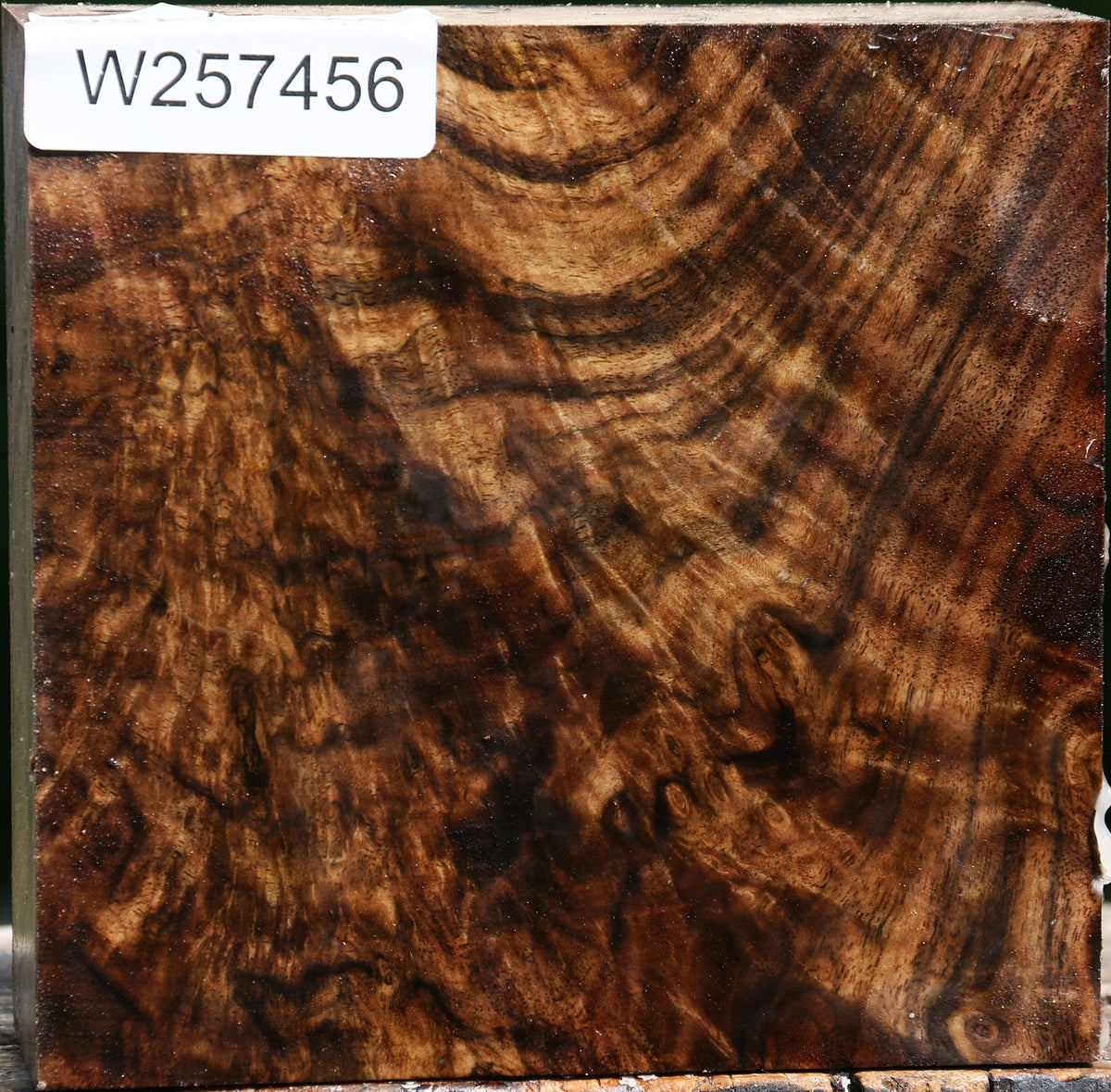 Exhibition Crotchwood Claro Walnut Bowl Blank