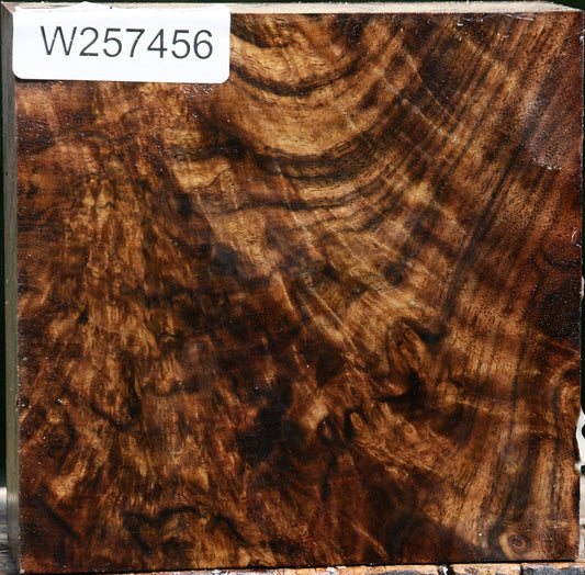 Exhibition Crotchwood Claro Walnut Bowl Blank