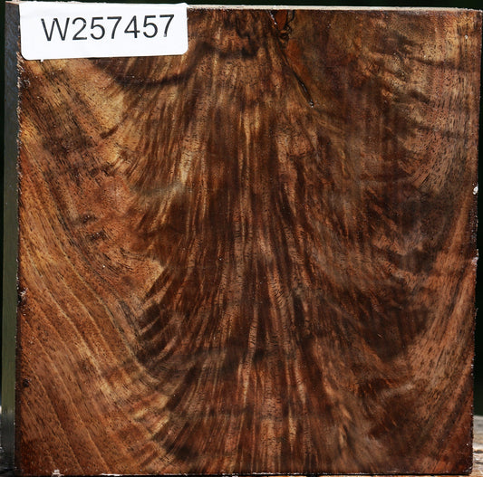 Exhibition Crotchwood Claro Walnut Bowl Blank