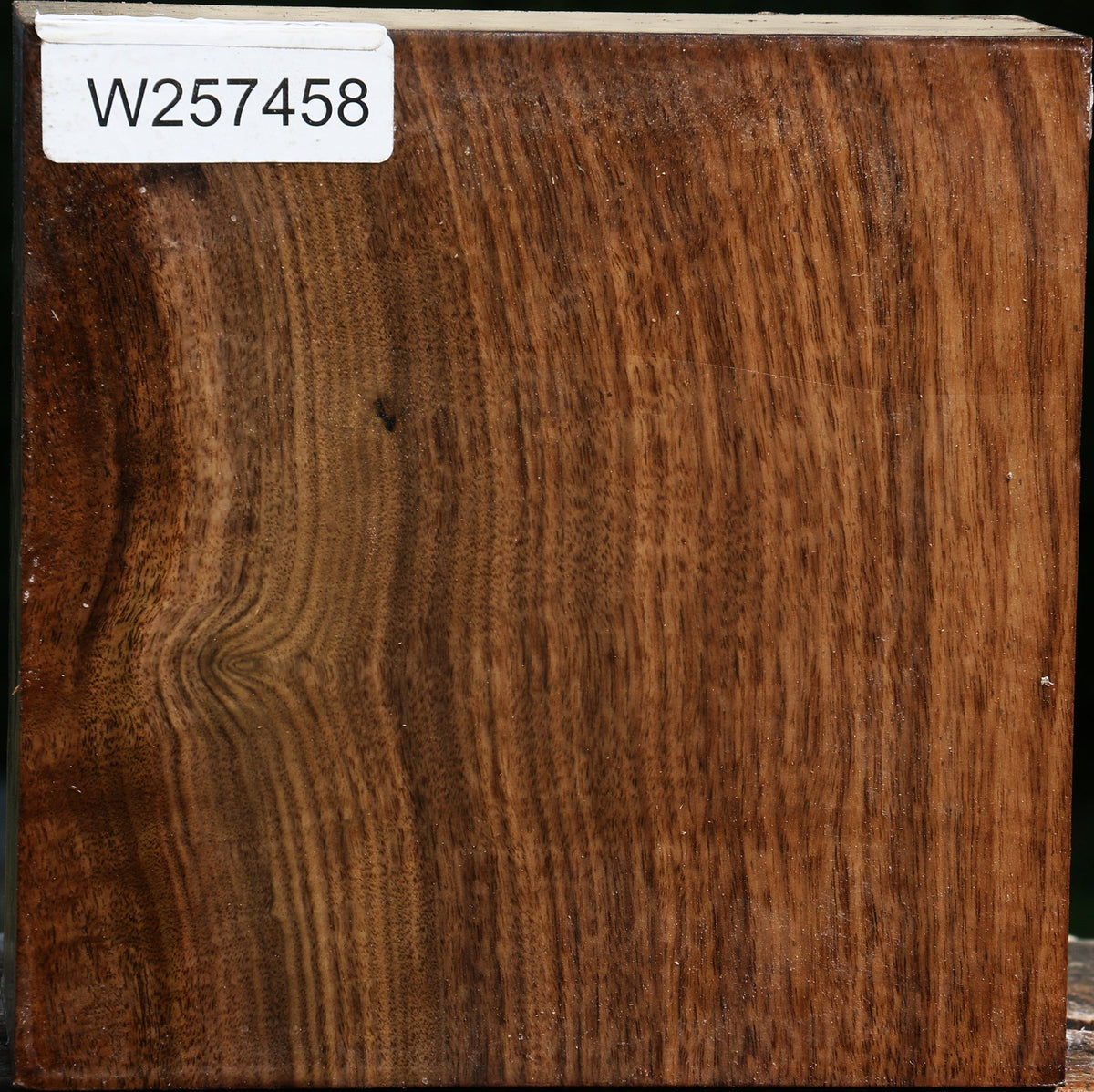 Claro Walnut Bowl Blank