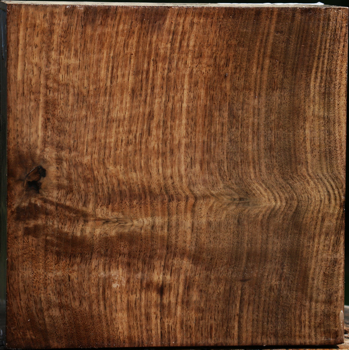Claro Walnut Bowl Blank