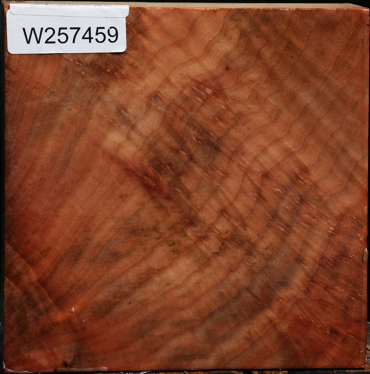 Madrone Burl Bowl Blank