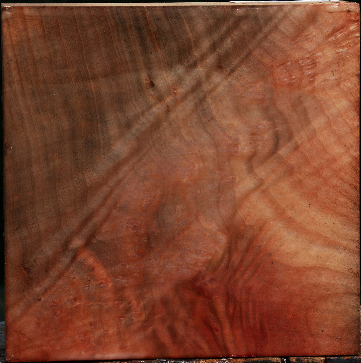 Madrone Burl Bowl Blank