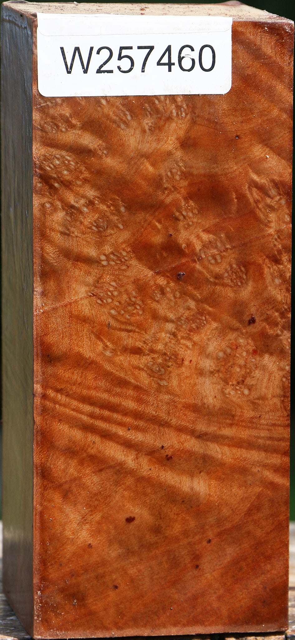 Madrone Burl Turning Square