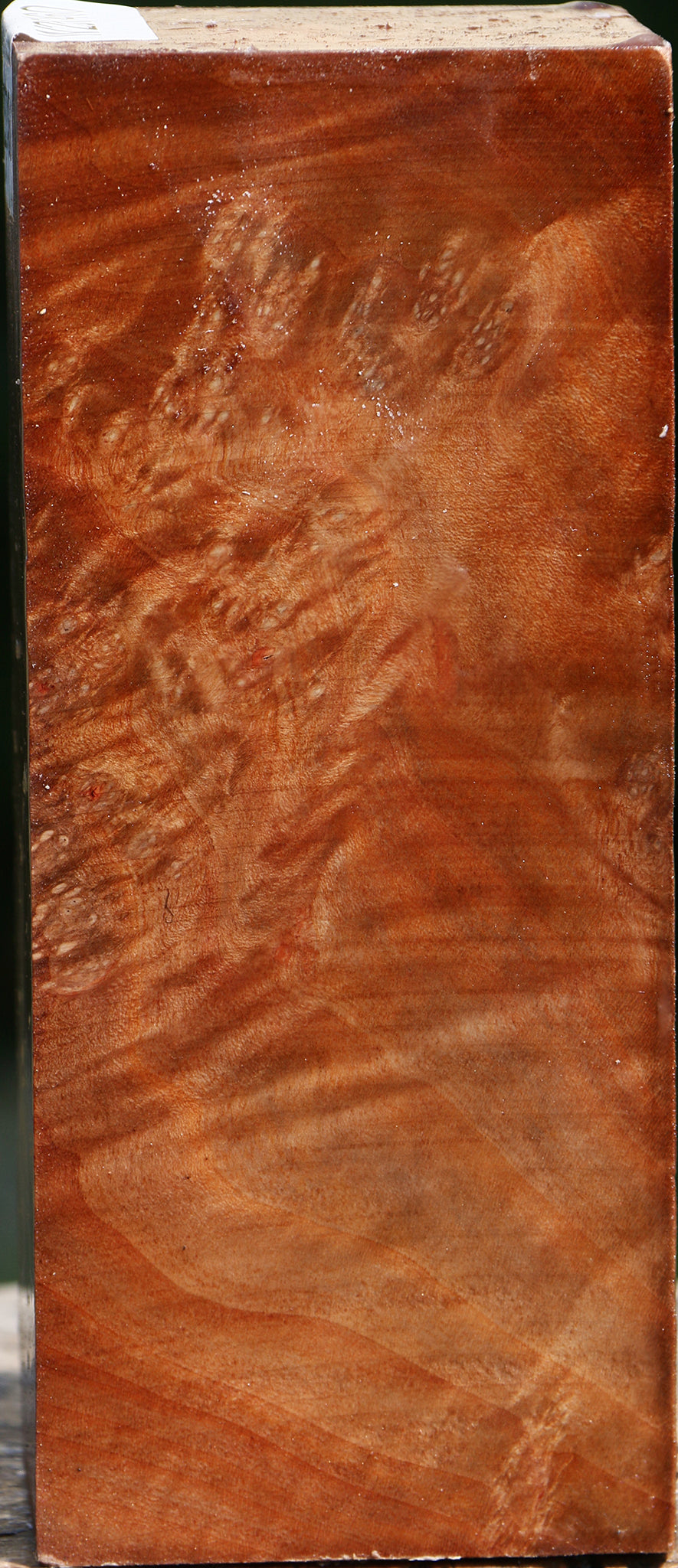 Madrone Burl Turning Square