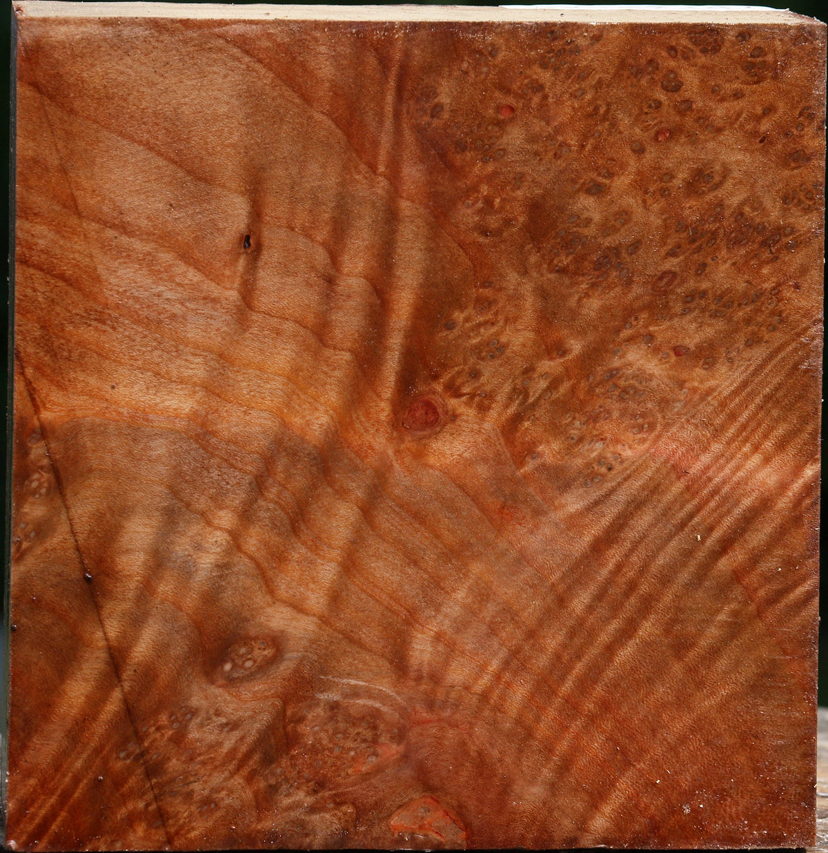 Madrone Burl Bowl Blank