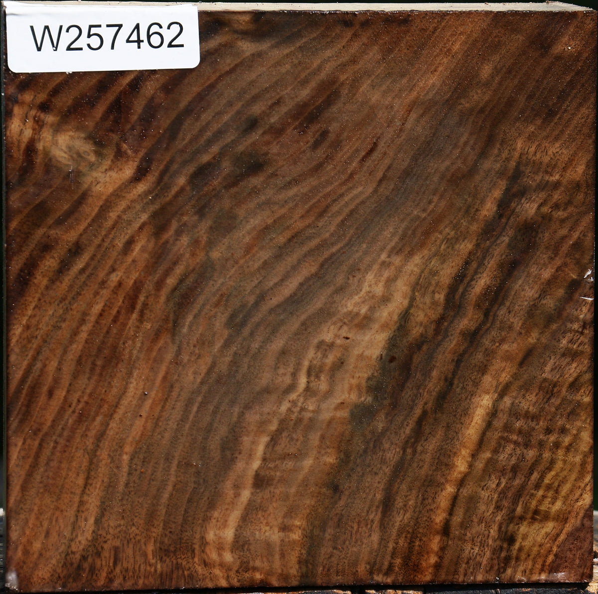 Figured Claro Walnut Bowl Blank