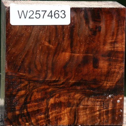 Extra Fancy Grafted English/Claro Walnut Bowl Blank