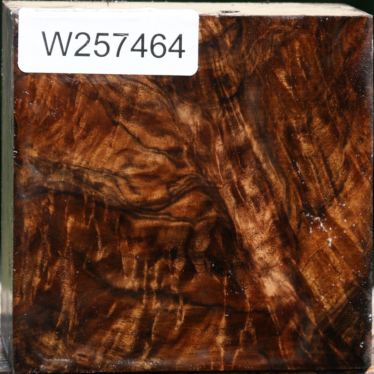 Extra Fancy Claro Walnut Bowl Blank