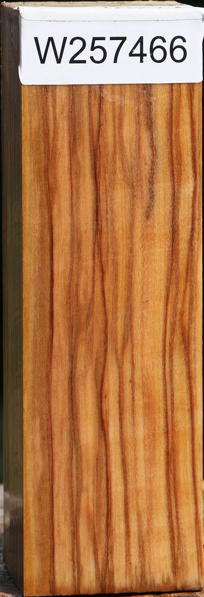 Italian Olive Turning Square
