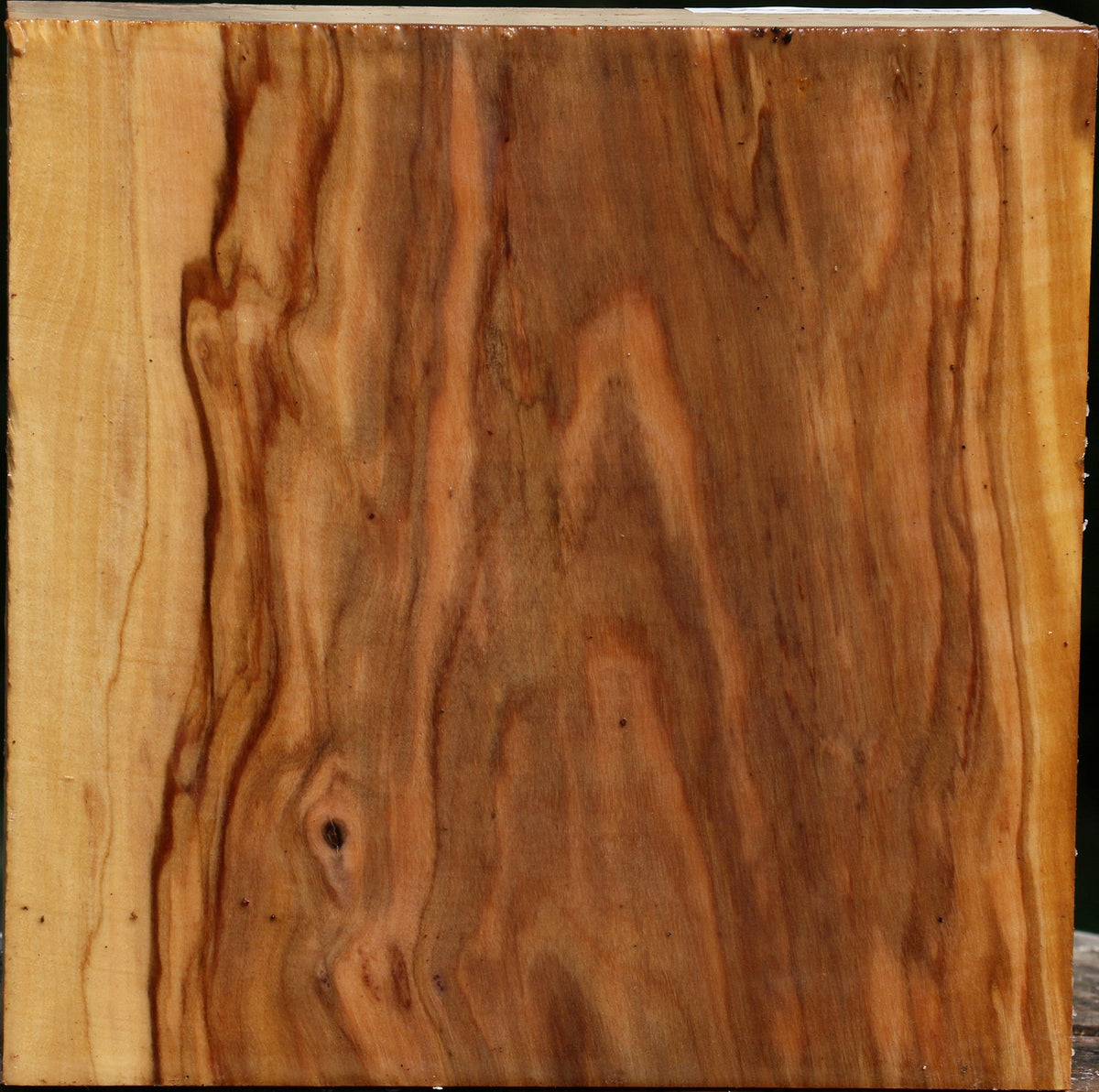 Italian Olive Bowl Blank