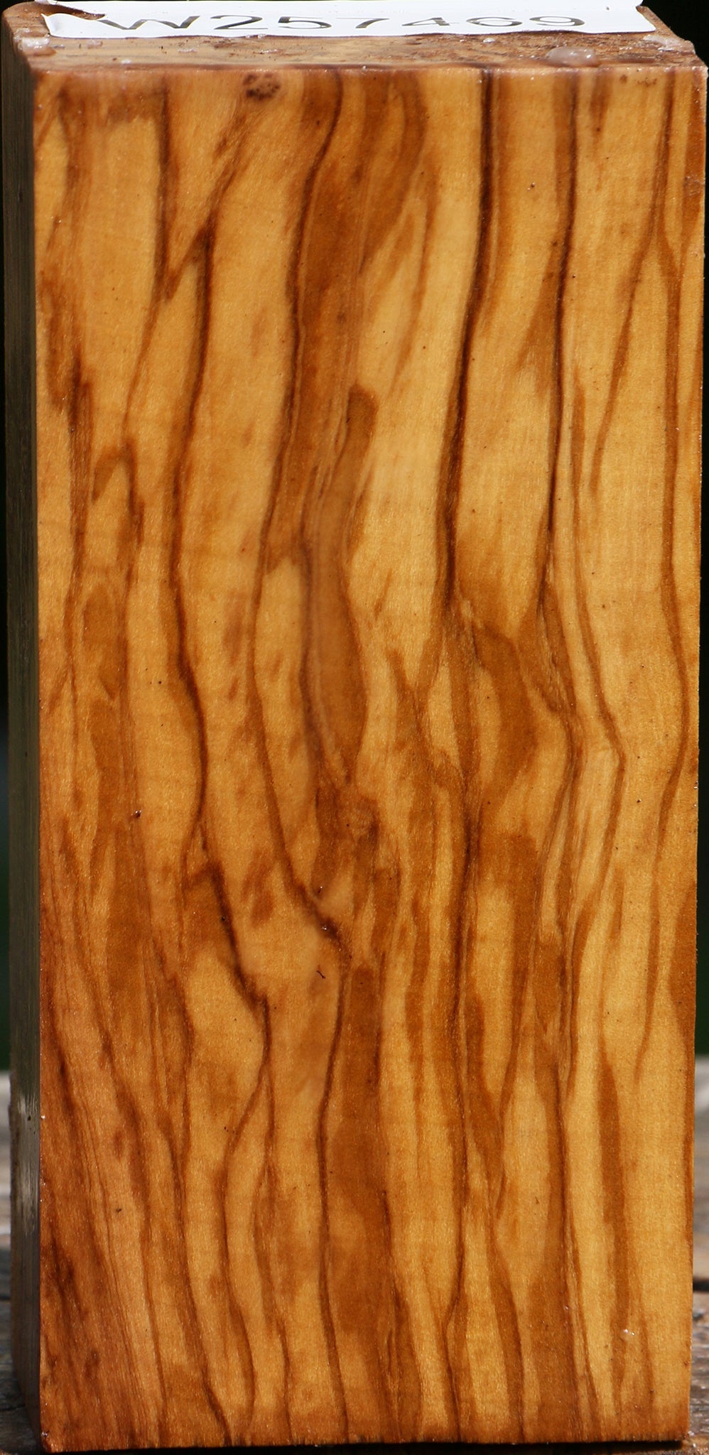 Extra Fancy Italian Olive Turning Blank