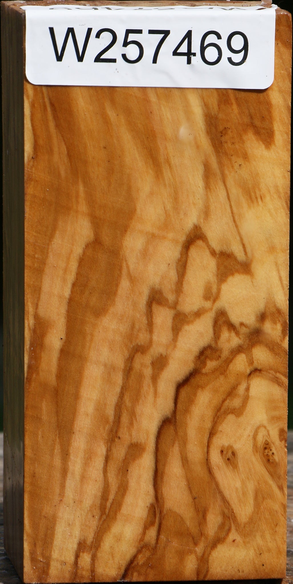 Extra Fancy Italian Olive Turning Blank
