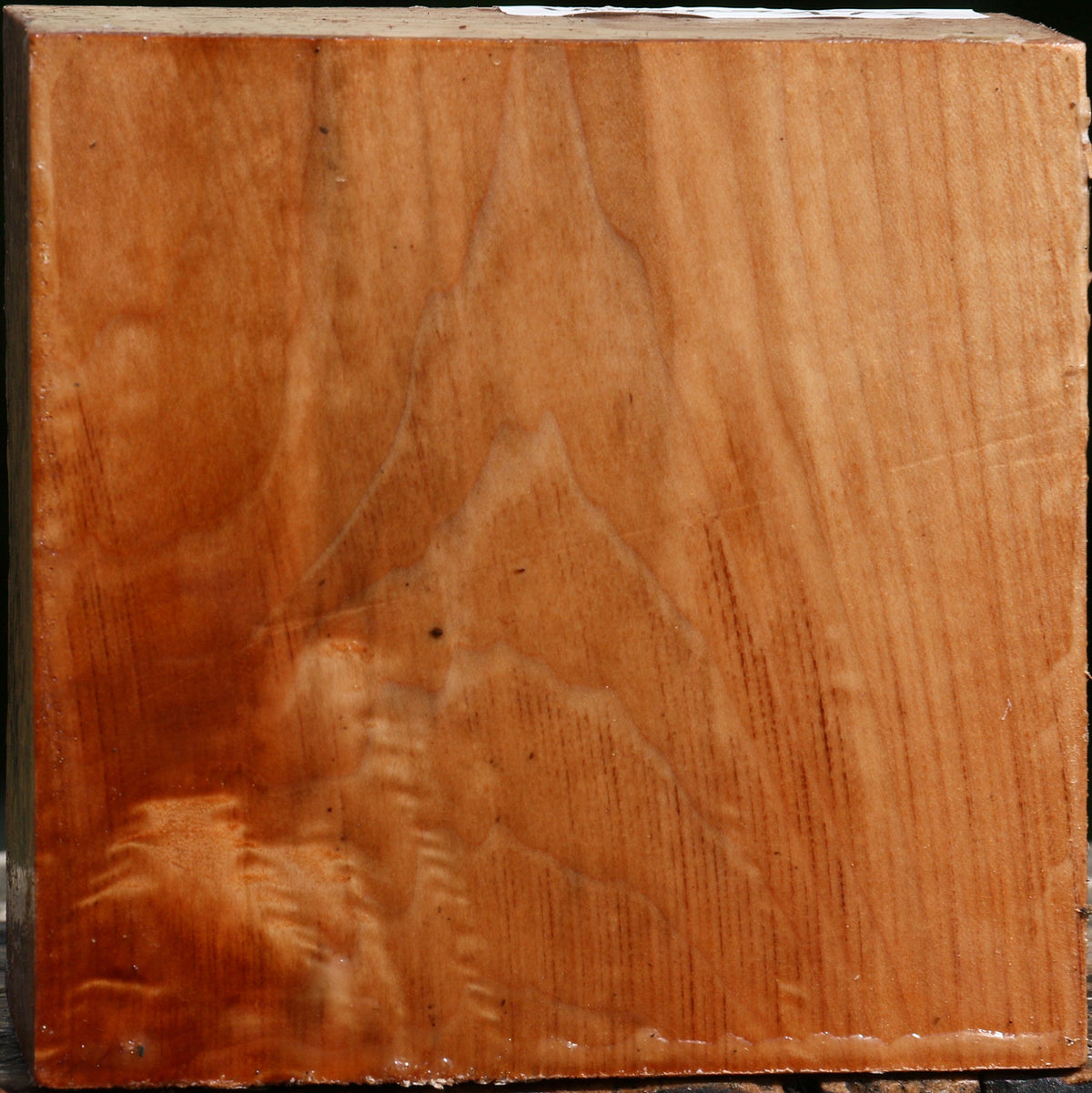 Extra Fancy Maple Bowl Blank