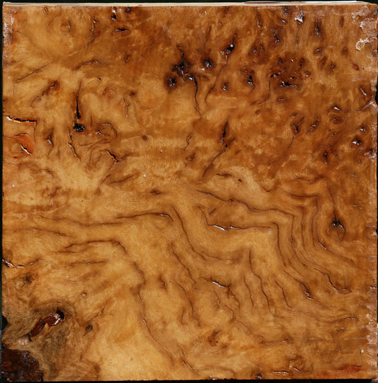 Hopea Stone Burl Bowl Blank