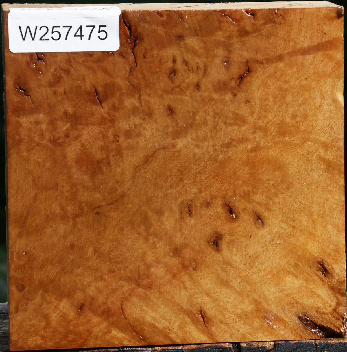 Hopea Stone Burl Bowl Blank