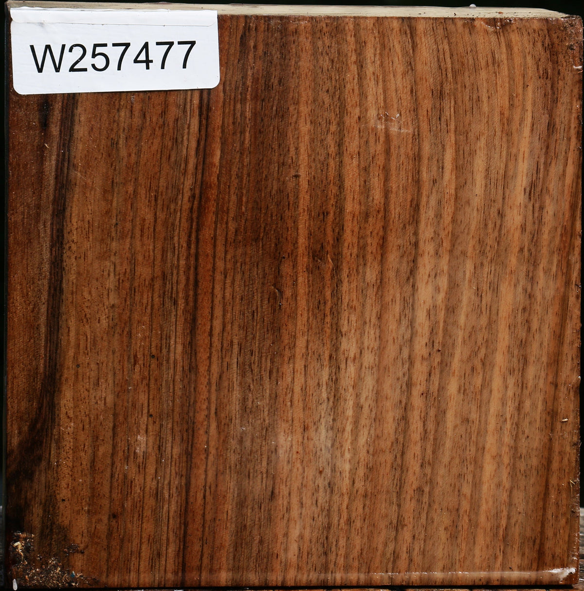 Bastogne Walnut Bowl Blank
