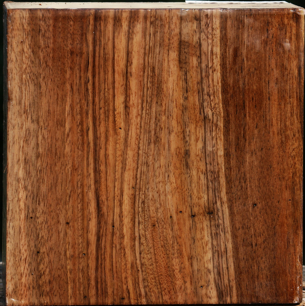 Bastogne Walnut Bowl Blank
